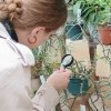 Інтегроване виїзне заняття на базі Ботанічного саду імені акад. О.В. Фоміна та Оранжереї ботанічного саду