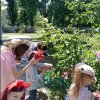 Суботня зустріч у навчально-ігровому та просвітницькому просторі для дітей та батьків «Родина Hub» (у рамках Соціального проєкту «З Києвом і для Києва») 