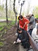 Весняний благоустрій та озеленення у корпусі № 2 Університету Грінченка
