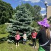 Навчально-ігровий та просвітницький простір «Родина Hub» (соціальний проєкт «З Києвом і для Києва» (23.05.2026)